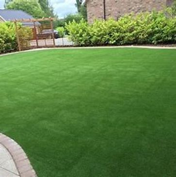 Green Lawn with No Weeds