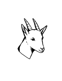 Capricorn 
dog training and behavior