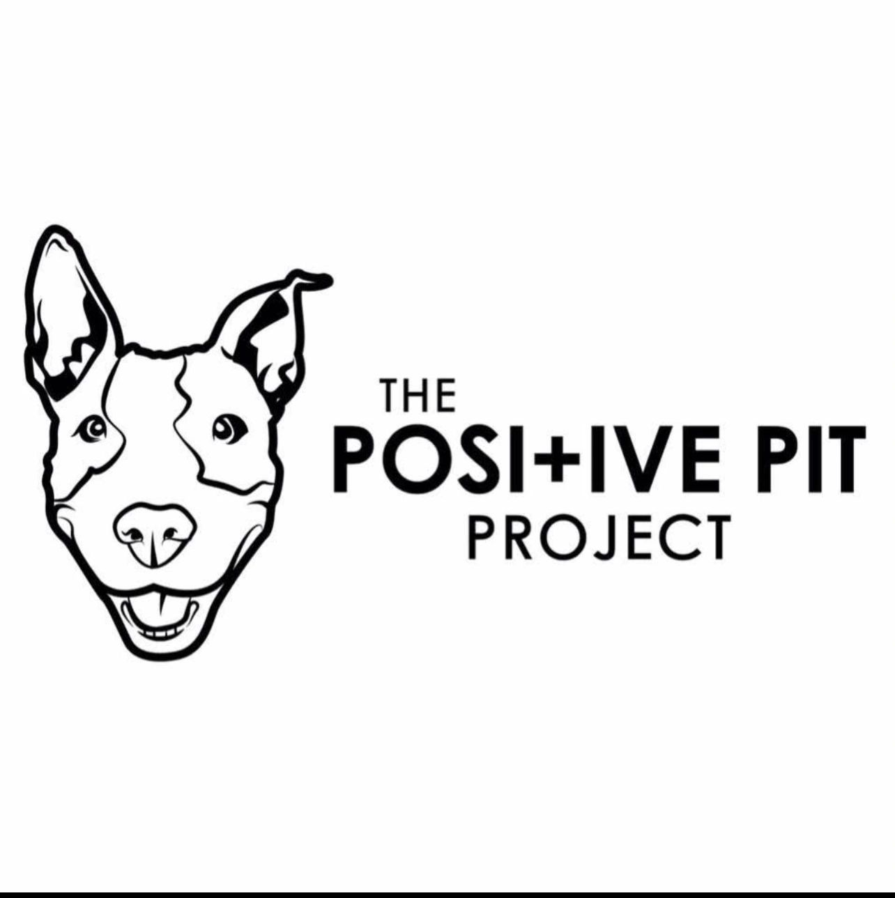 The Positive Pit Project