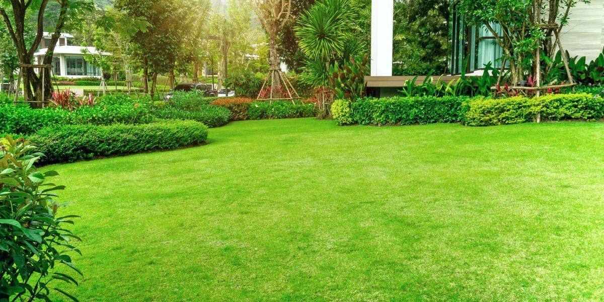 EcoFriendly Lawn Service Green Energy Lawn
