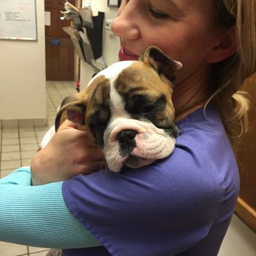 Dr Alicia Webb of Redbud Animal Dermatology with Patient