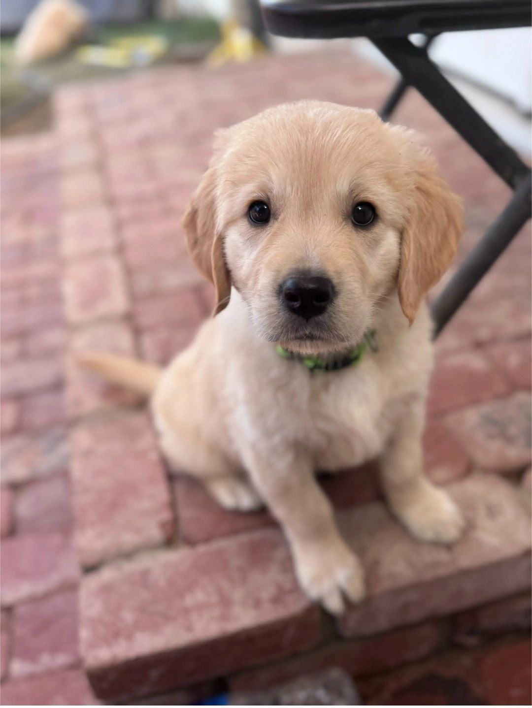 Chloe