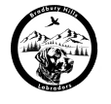 Wandering Willow Labs