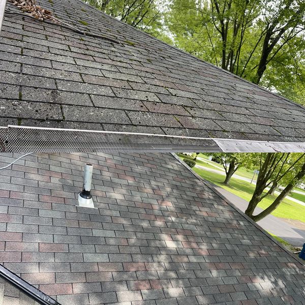 Roof Washing/ Roof Cleaning