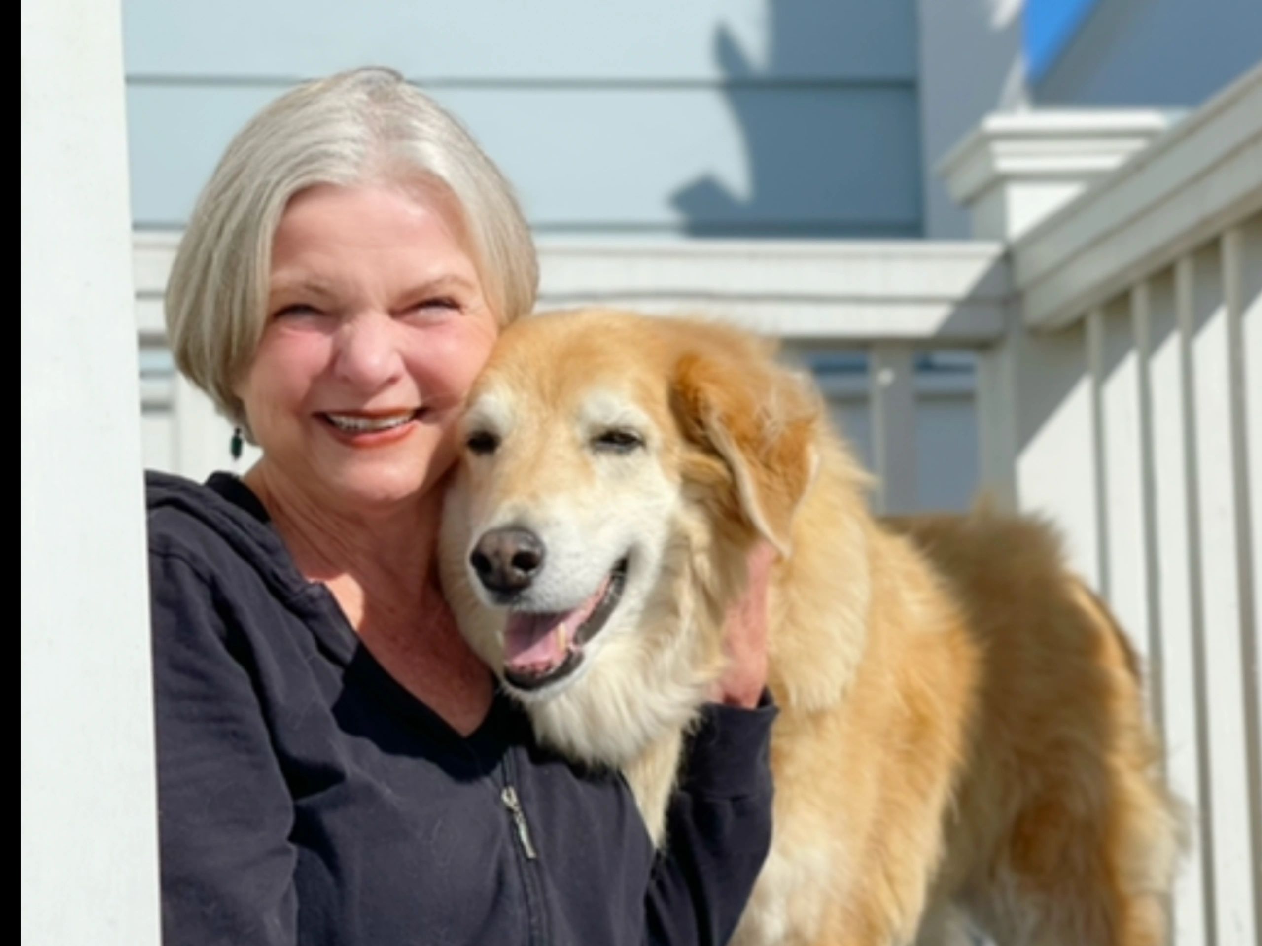 why-everyone-needs-to-know-about-your-pet-sitting-services-youtube