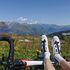 white cycling socks for alpine cycling