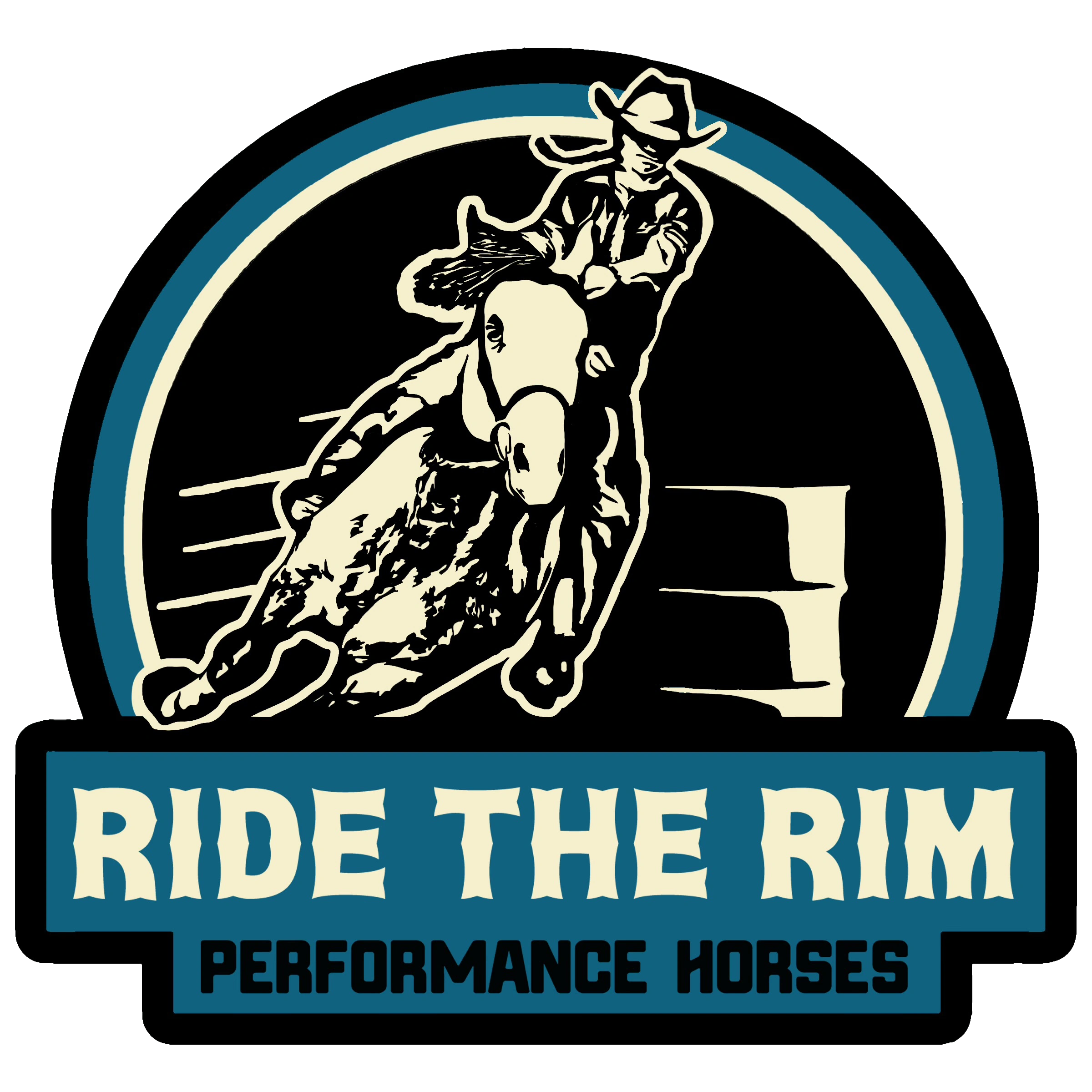 AQHA Breeding Stallion Barrel Horse Sires Ride the Rim Horses