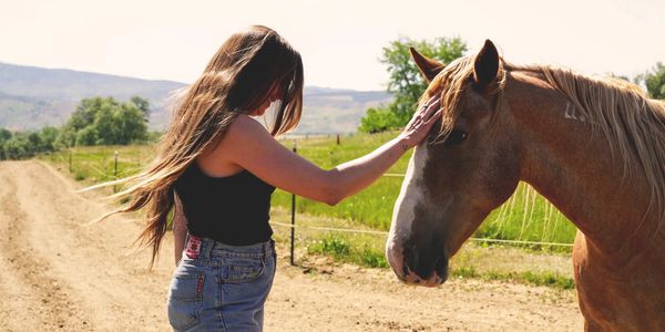 A woman gently pets a horse on a sunny country road.
