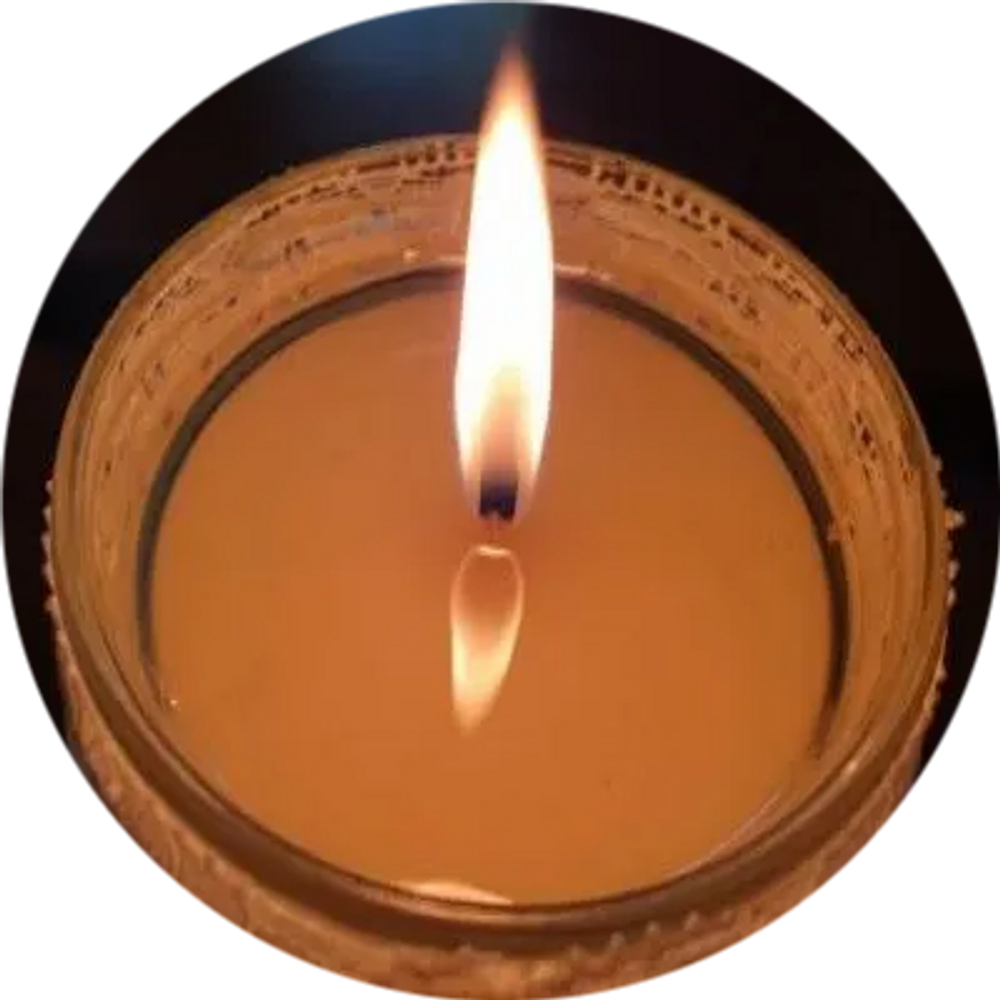 Chimene's Flames Japanese Honeysuckle, Variety of Glorious Fragrances