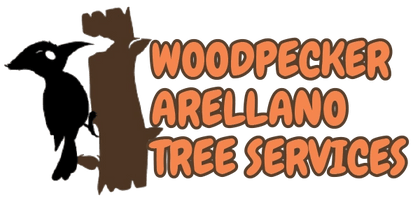 Woodpecker Arellano Tree Services