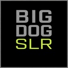 Big Dog Solar Puerto Rico