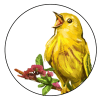 Songbird Health and Wellness