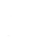 Catalyst Life Consulting