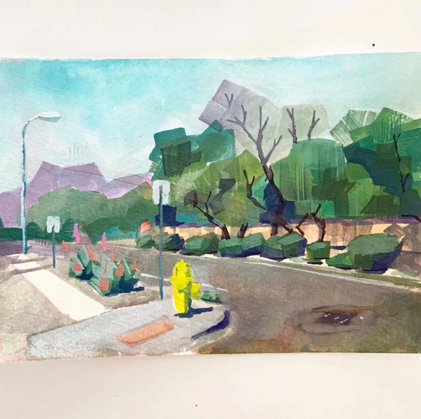 Plein air gouache painting of my neighborhood street in Chandler, AZ