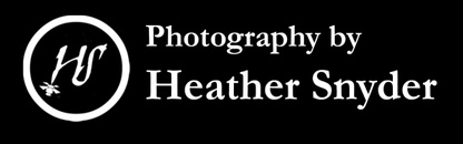 Heather Snyder Photography