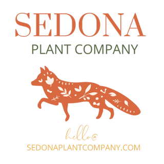 Welcome to Our Website
