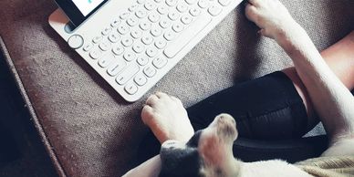 blogging with my dog