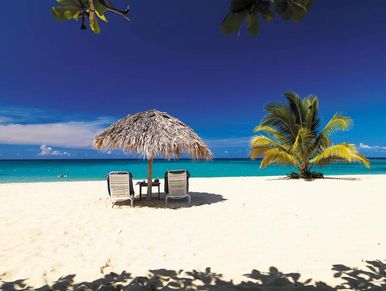 secluded table for two under a palapa umbrella on a tropical beach with a palm tree and green ocean