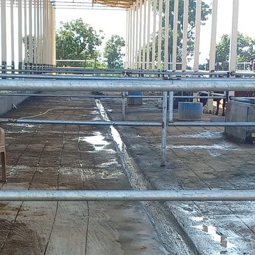 Empty livestock pens with metal railings under an open shelter.