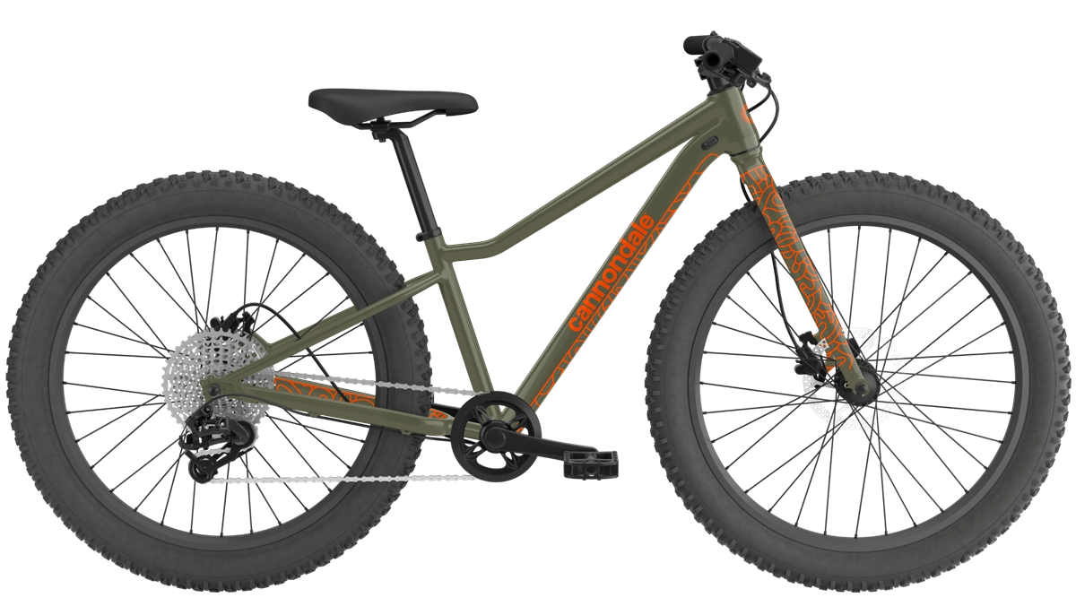 cannondale 24 trail