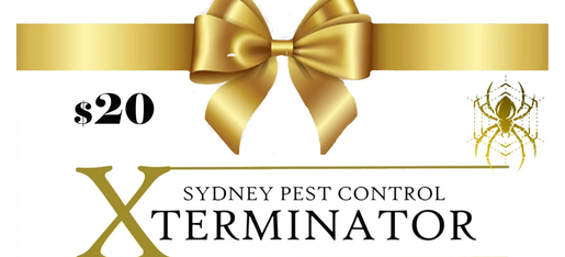 Fly Control  SYDNEY PEST CONTROL XTERMINATOR