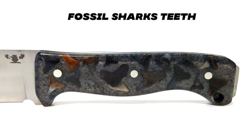 Shark Knife with fossil shark teeth cast handles – Berg Knifemaking