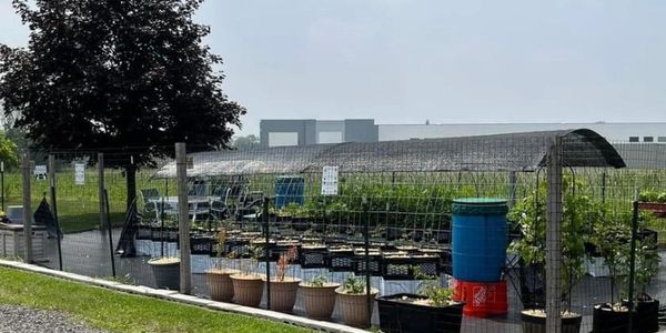 GHGNP donation self watering milk crate garden 
