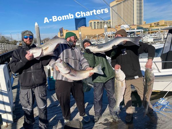 Atlantic City charter boat Striper fishing 