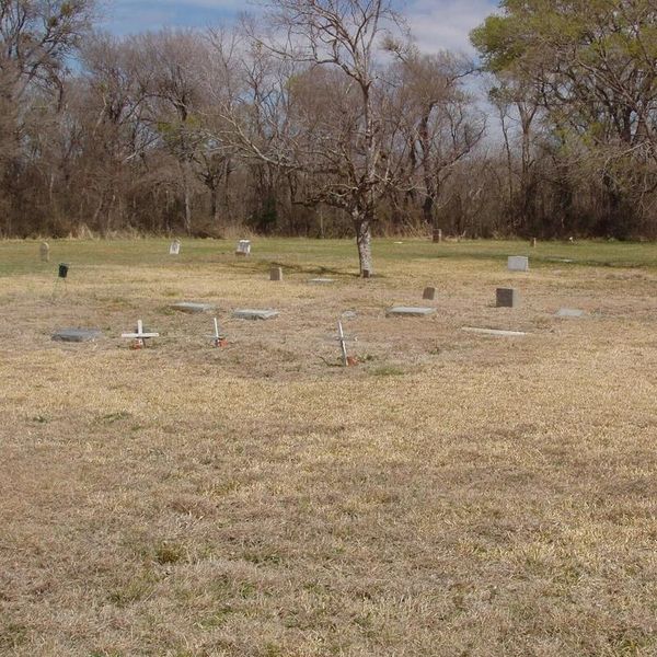 A quiet graveyard with scattered tombstones and a leafless tree.