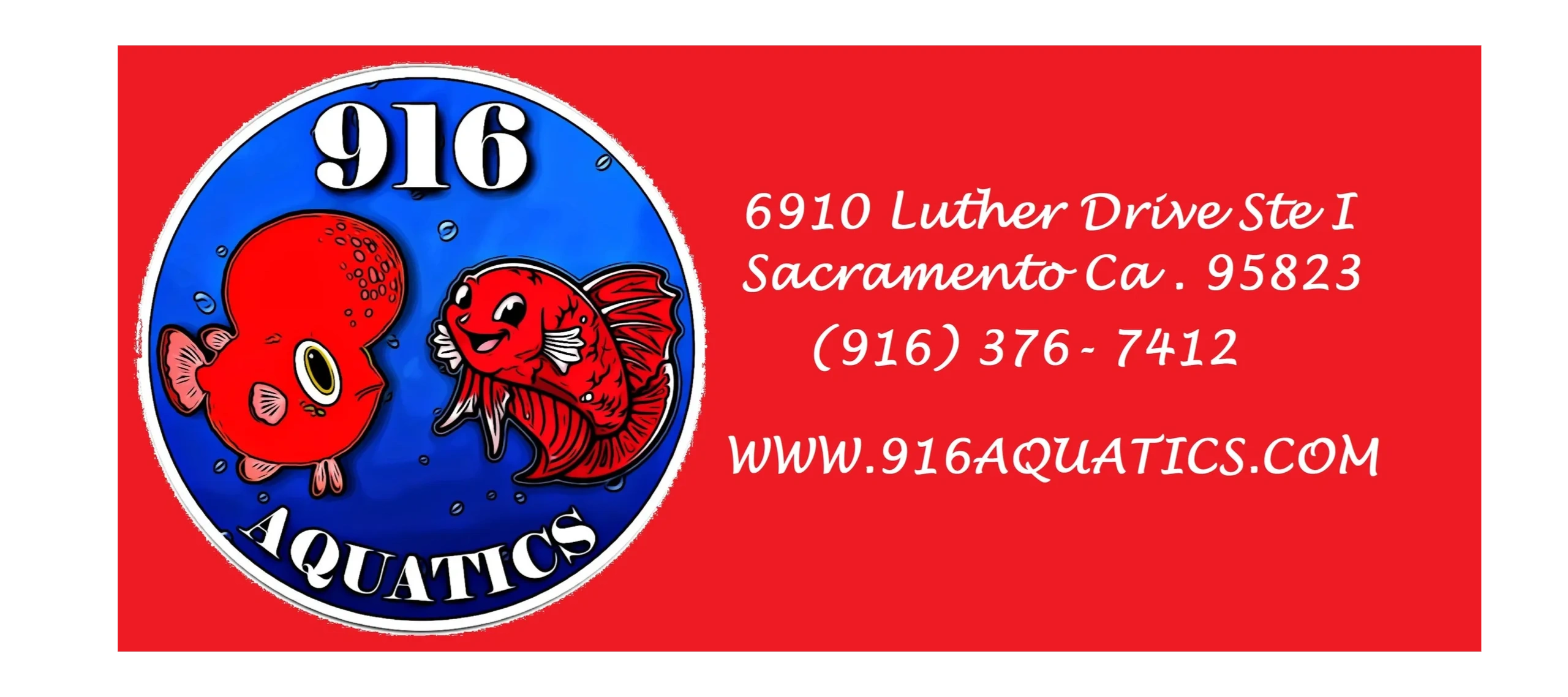 916 Aquatics