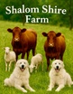 Shalom Shire Farms