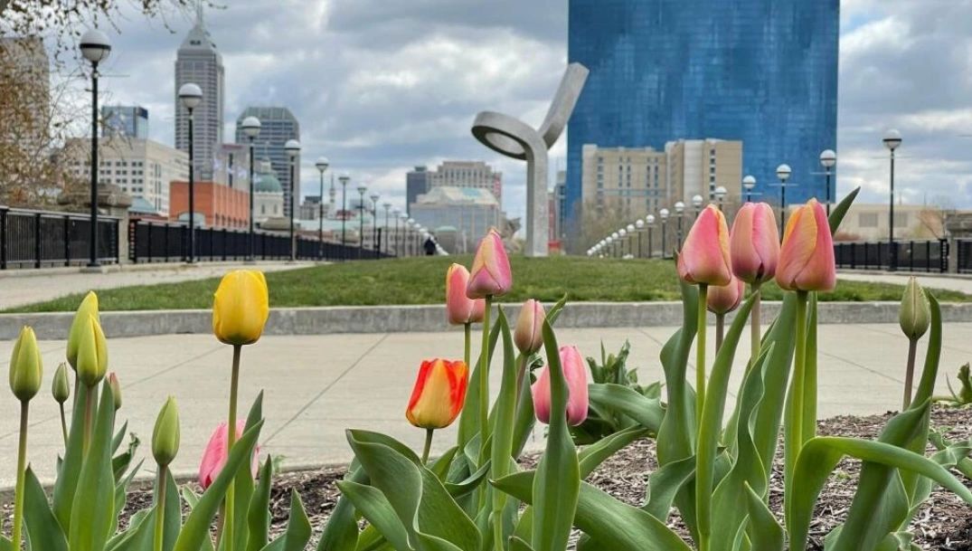 Indy Running Calendar