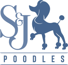 S&J Poodles