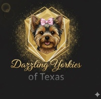 Dazzling Yorkies of Texas