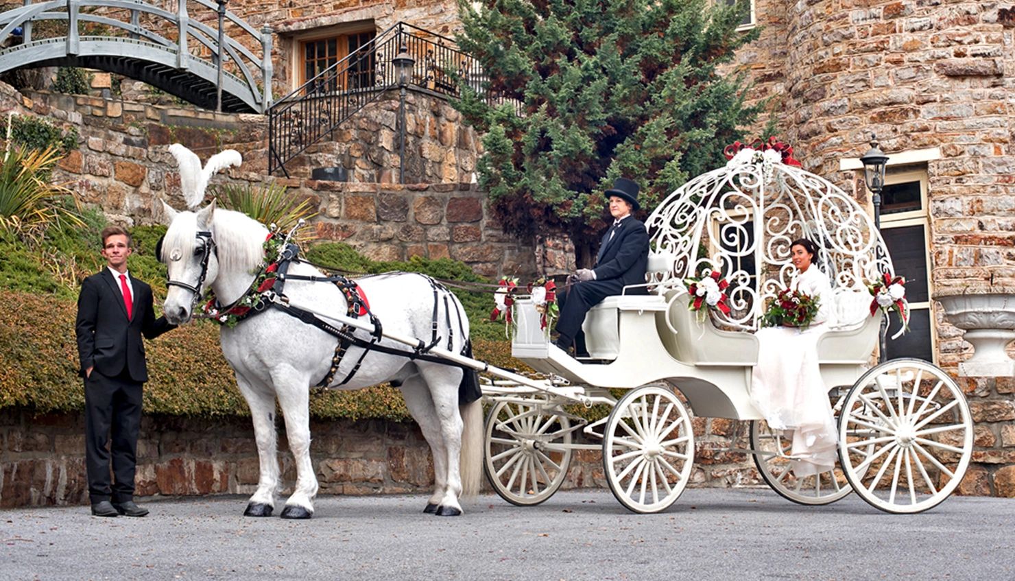 Home - Horse Drawn Carriage Company