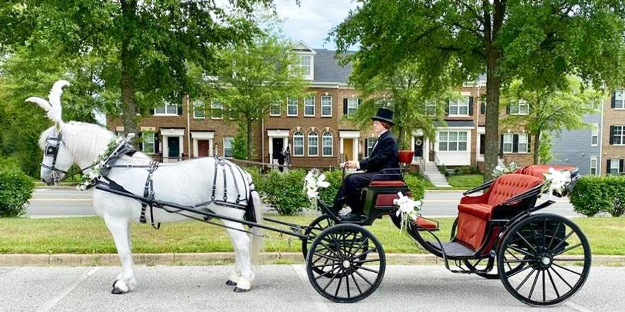 A white horse pulls a decorated carriage with a driver in formal attire.