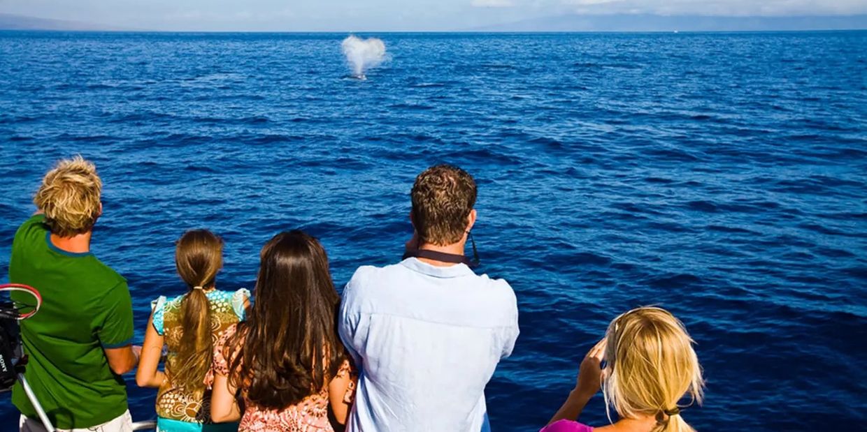 Family on a Hawaii cruise looking at a whale watch scene.