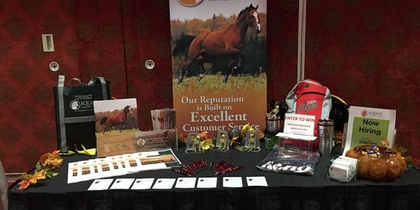 Strategy Boost Marketing designs collateral for trade show in Reno