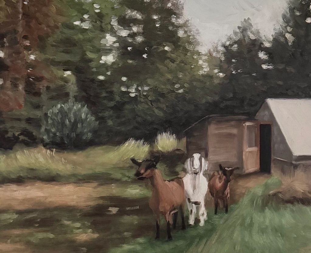 Three goats standing near a wooden shed in a lush green area.