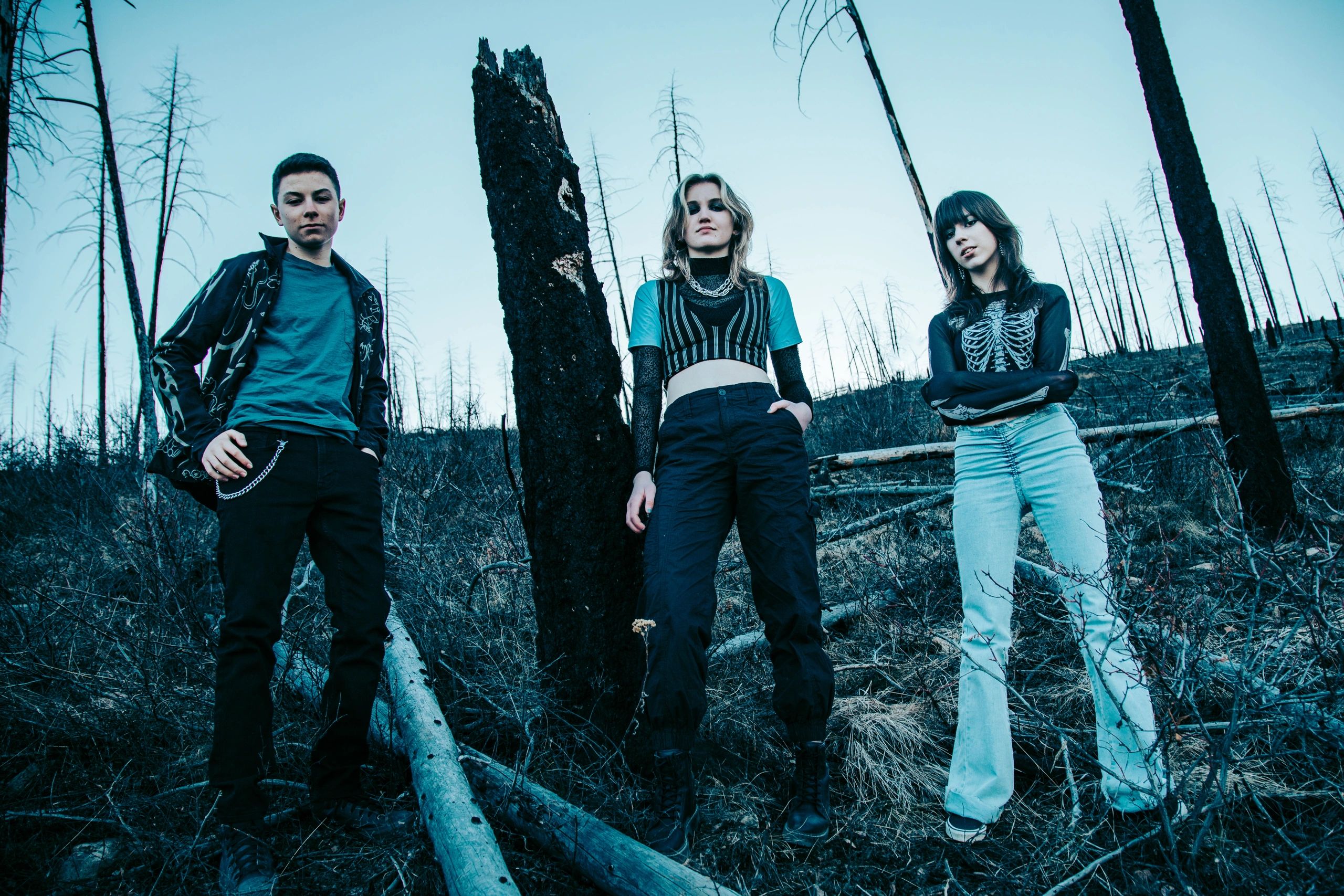 Freeze the Fall Band