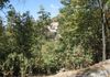 Buy Lake Arrowhead land