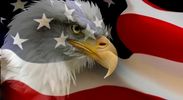 America Stands Up