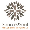 Source2Soul