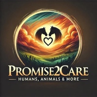 Promise2care
