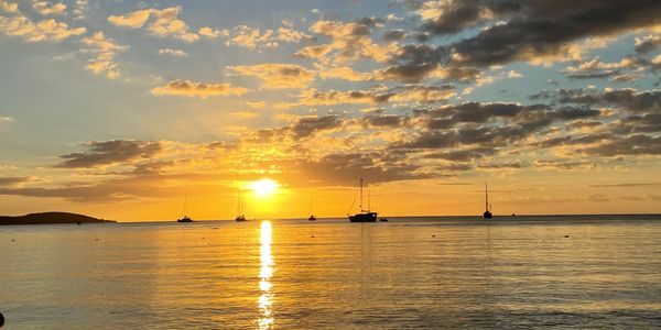 Foto: Wanda I Pacheco Bou