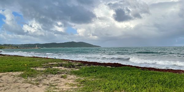 Foto: Wanda I Pacheco Bou