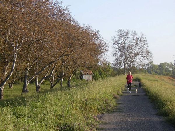 Woman jogging at Lovey's Landing