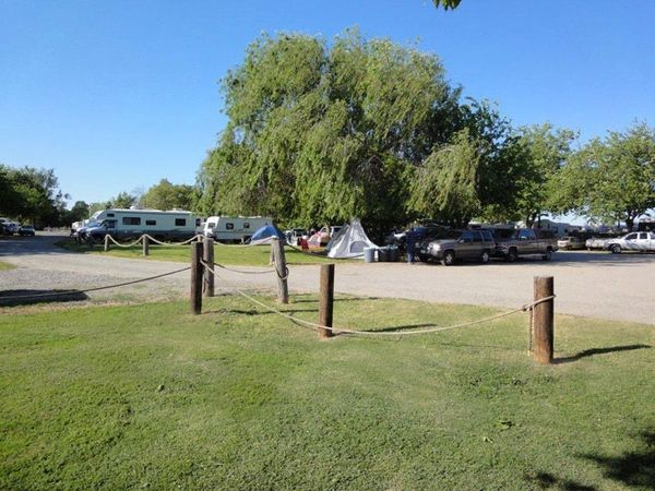 RVs and tents parked under the trees