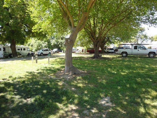 Flat, grassy area for RVs