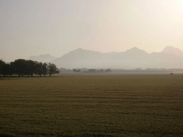 View of the Sutter Buttes